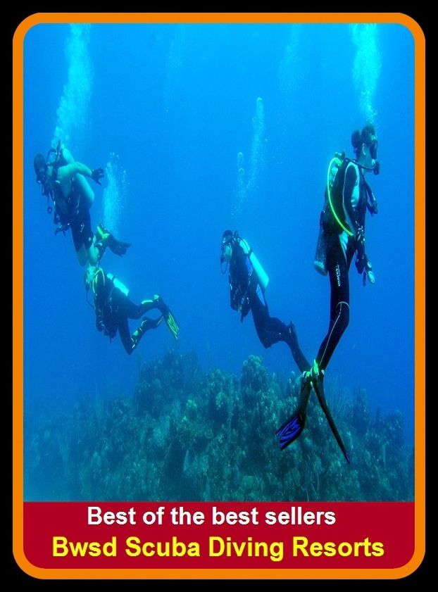 Best of the Best Sellers Scuba Diving Resorts (submersion, dipping, diving, immersion, ablution, sinking , go in, dip , drop , jump)