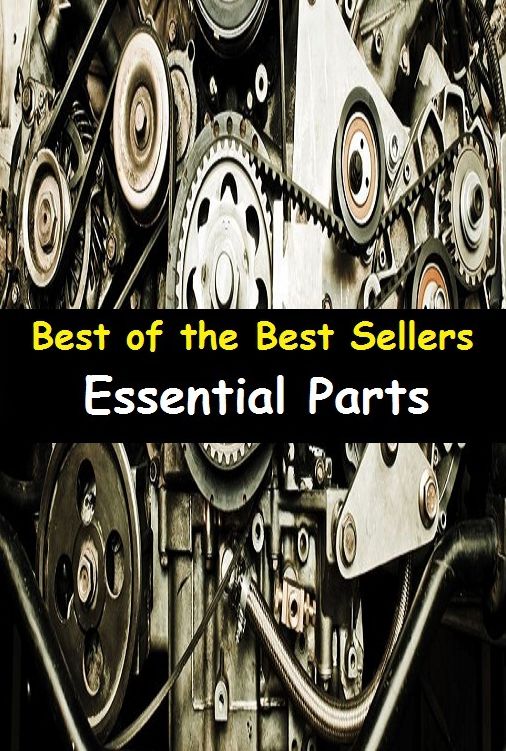 Best of the Best Sellers Essential Parts (any, section, bite, bunk, chunk, sector, branch, ingredient, component, segment)