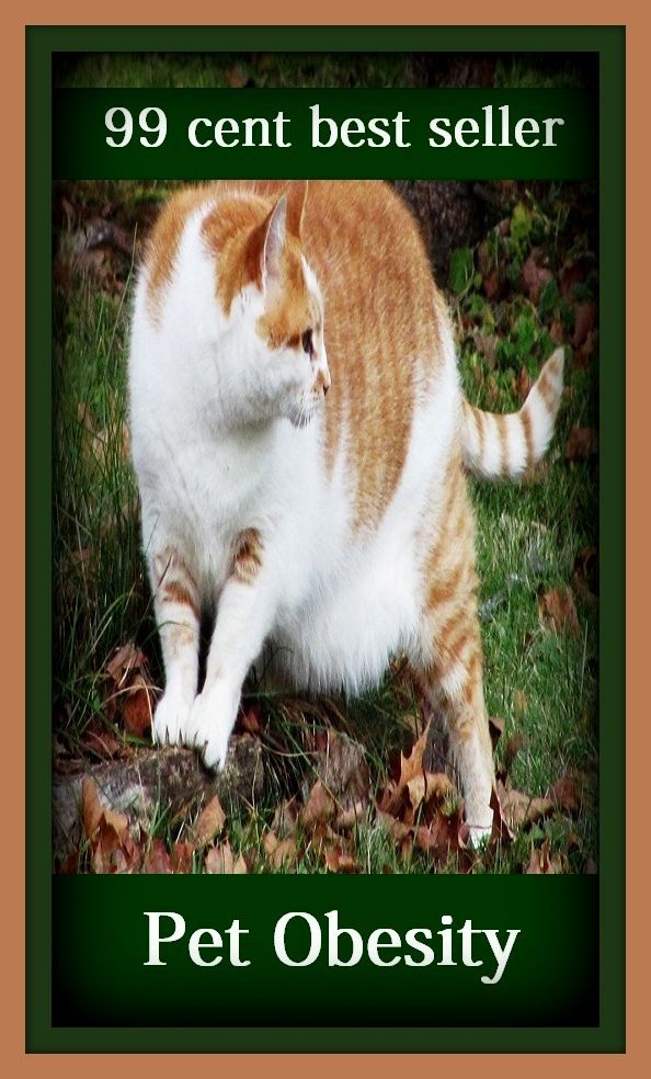 99 Cent Best Seller Pet Obesity ( essay, paper, thesis, dissertation, composition, article, treatise, theory, idea, hypothesis )