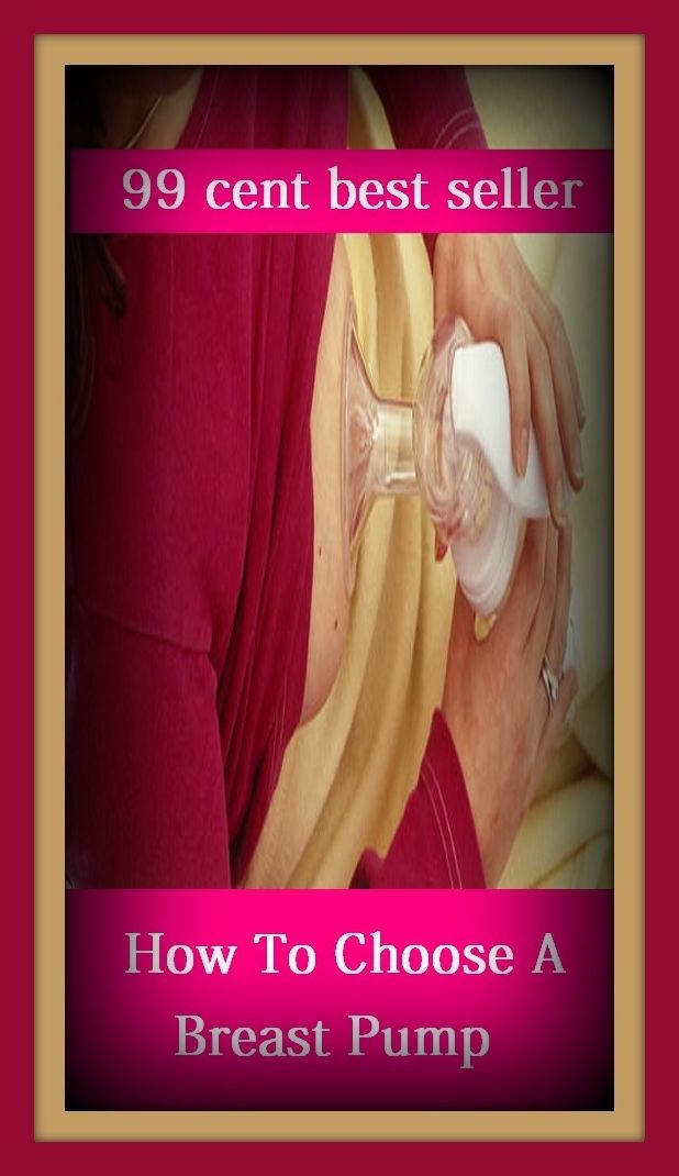 99 cent best seller How To Choose A Breast Pump (how much, how now, how old are you, how rude, how rude!, how you live, how-dye-do, how-do-you-do, how-dye-do, how-to)