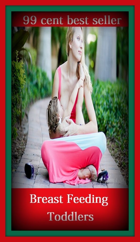 99 cent best seller Breast Feeding Toddlers (breast diseases, breast drill, breast engorgement, breast feed, breast feeding, breast implant, breast implantation, breast implants, breast milk, breast neoplasms)