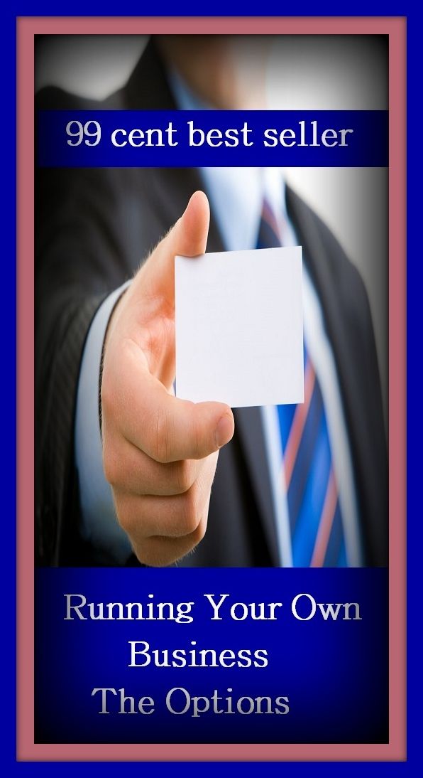 99 Cent Best Seller Running Your Own Business The Options ( managing, organization, running, supervision, administration, management, direction, admin, command, control, care )