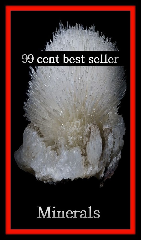 99 Cent Best Seller Minerals ( exercise, meditation, acupuncture, disease, digestive system, formula, medicine, remedy, fix, treatment, action, conduct, behavior, handling, gastrin, fitness, vitamins, healing, diet, cut down, starve yourself, fast, fat )