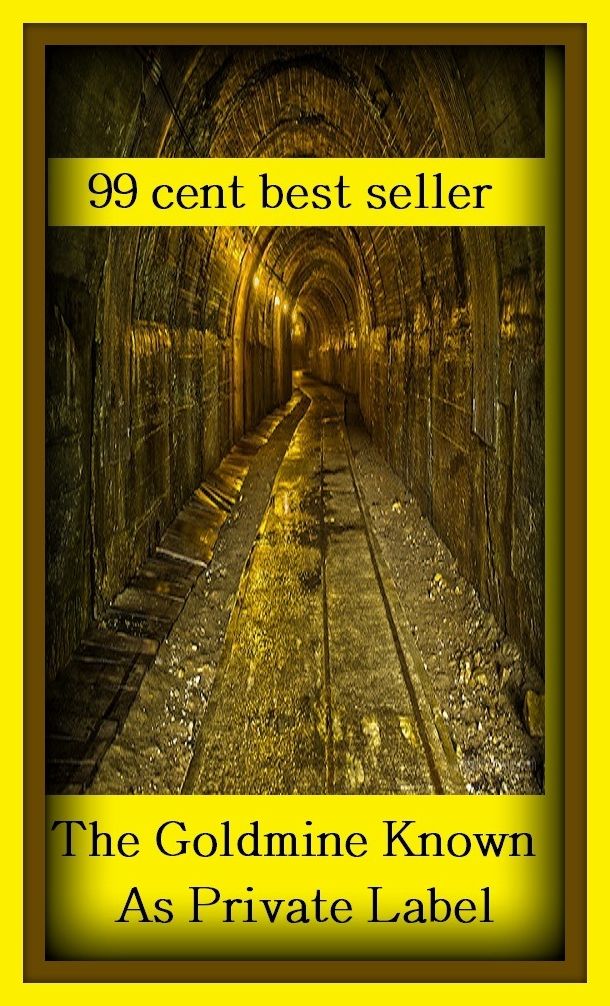99 Cent Best Seller The Goldmine Known As Private Label R ( essay, paper, thesis, dissertation, composition, article, treatise, theory, idea, hypothesis )