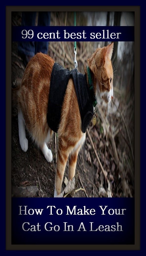 99 Cent Best Seller How To Make Your Cat Go In A Leash ( families, household, familial, domestic, relatives, households, dynasty, home, familiar, household-type, family-run, family-related, family-owned, kin, family-based, marital, clan, parents )