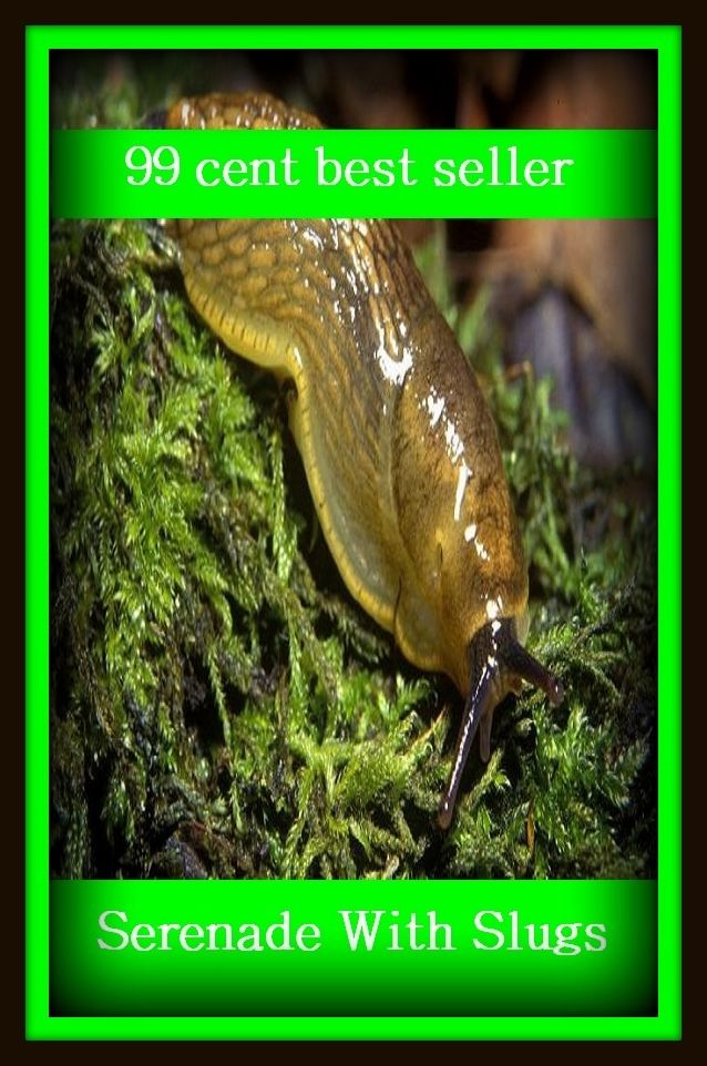 99 cent best seller Adventure, Horror, Mystery Classics Best Seller's for 99 Cents Serenade With Slugs (serein, seremban, serena, serena & lily, serenade, serenaded, serenader, serenading, serenata, serenate)