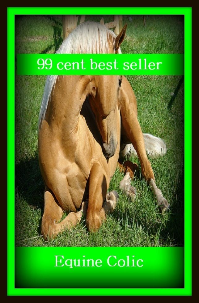 99 cent best seller Equine Colic (monomolecular, unsentimental, multiple, Quirinal, equine, equine distemper, equine encephalitis, equine encephalitis, equine herpes virus, equine infectious anemia)