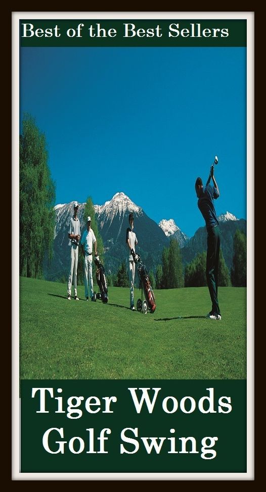 Best of the best sellers Tiger Woods Golf Swing (eighteen holes, medal play, nine holes, athletics, fun, game, pastime, action, amusement, ball, disport)