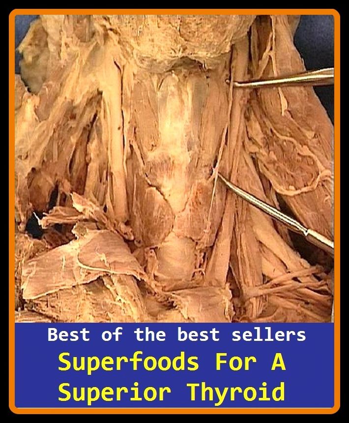 Best of the best sellers Super foods For A Superior Thyroid ( a stopped clock is right twice a day, a storm in a teacup, a story, a straight fight, a super lot, a sweet tooth, a tale of a tub, a tall order, a tall story )