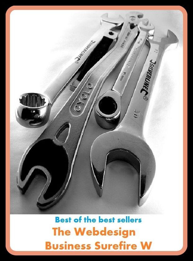 Best of the best sellers The Webdesign Business Surefire W (Employment, field, trade, work, bag, biz, calling, career, craft, dodge, function, game, line, livelihood, occupation, pursuit, racket.)