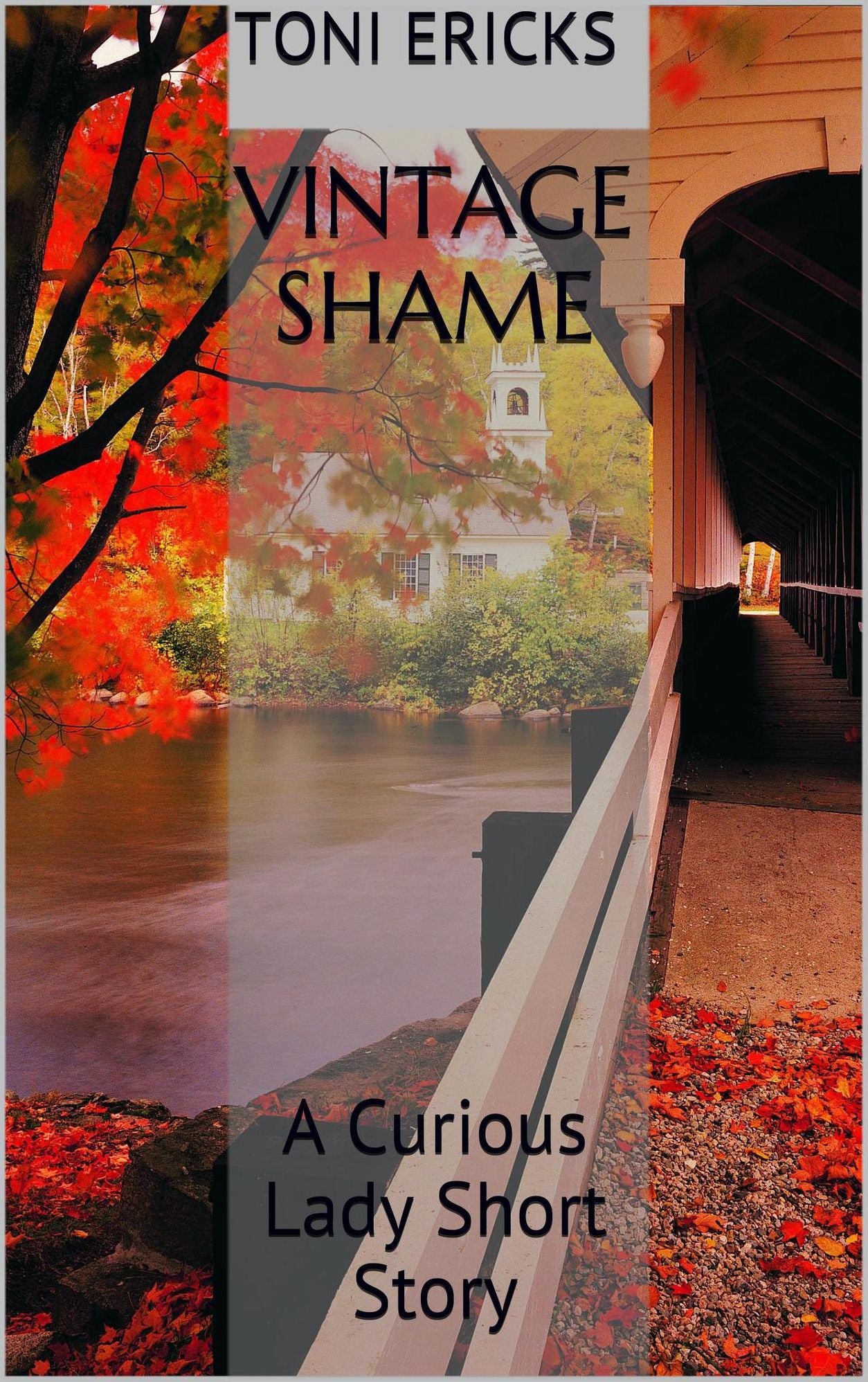 Vintage Shame, A Curious Lady Short Story