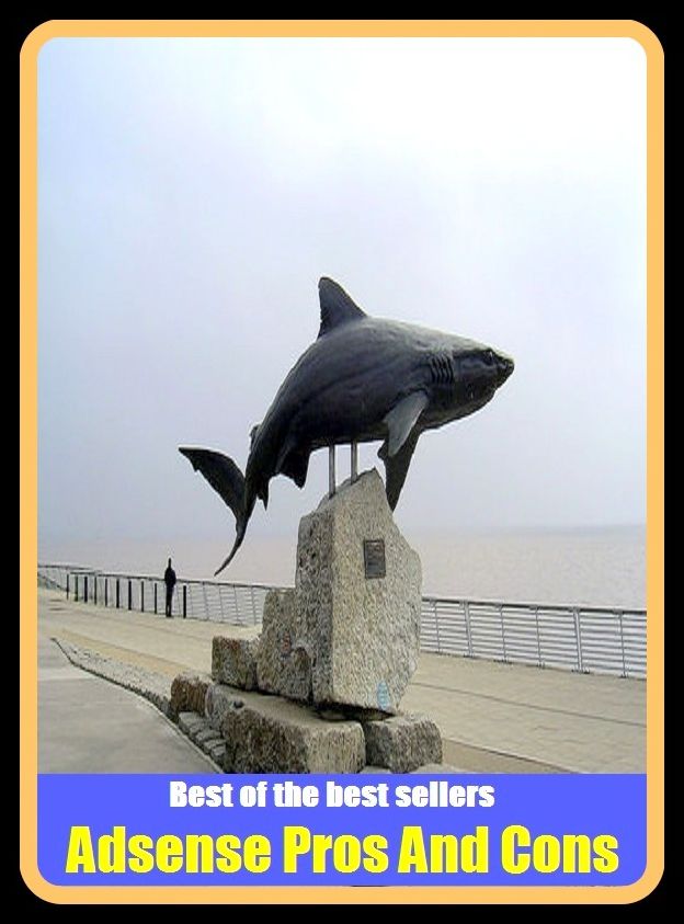 Best of the Best Sellers Adsense Pros And Cons (a scenes, adorns, azes, audience, addons, mad sense, edens, dense, denser, evens)