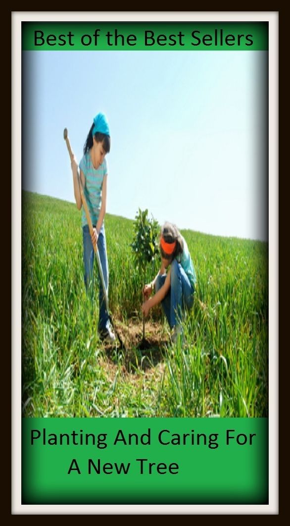 Best of The Best Sellers	Planting And Caring For A New Tree (responsibility, affliction, aggravation, alarm, anguish, annoyance, anxiety, apprehension, botherburden)