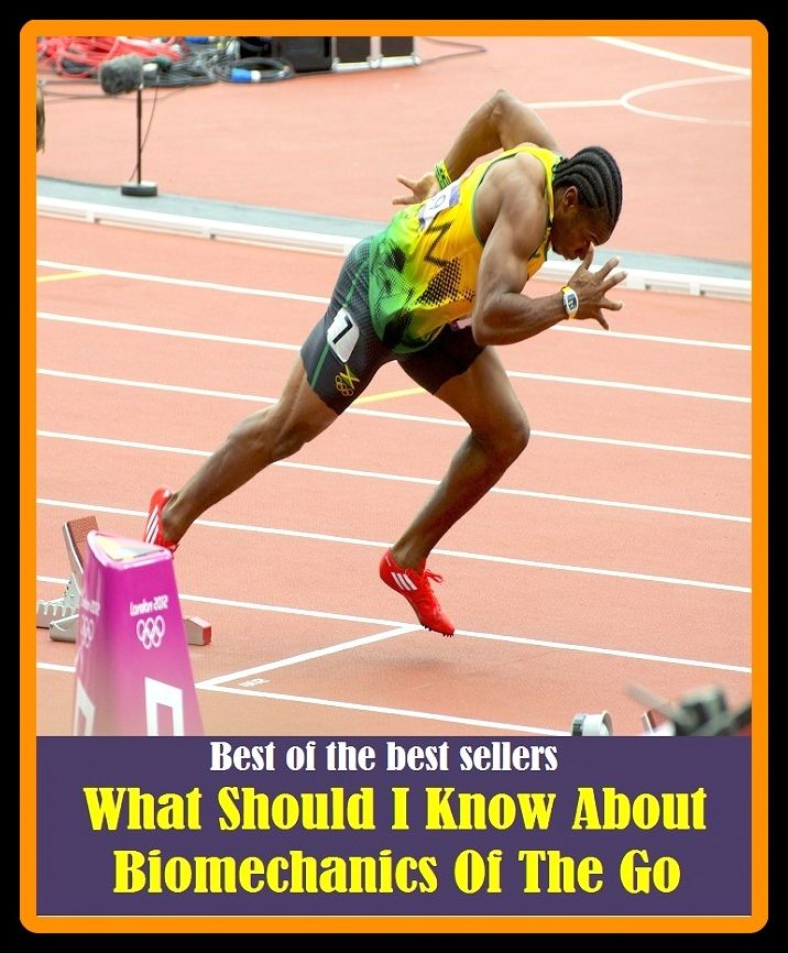 Best of the best sellers What Should I Know About Biomechanics Of The Go (act, lesson, movement, operation, performance, problem, study, task, test, training)