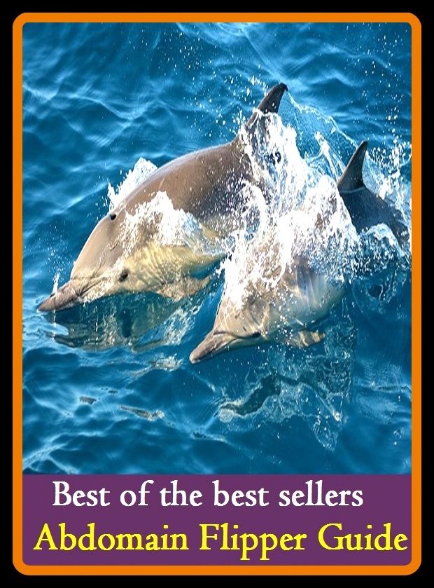 Best of the Best Sellers	Abdomain Flipper Guide	( Abdomain, Flipper , exhibitor, exhibit, display, demonstrator, guide, indicator )