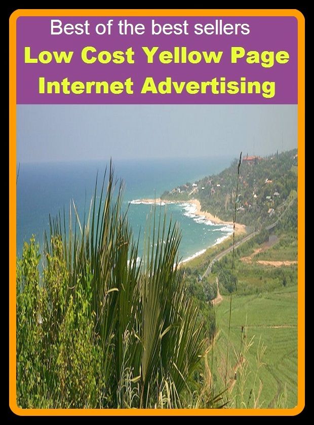 Best of the best sellers Low Cost Yellow Page Internet Advertising (yellow ocher, yellow oleander, yellow onion, yellow oriole, yellow pages, yellow paper daisy, yellow Padilla, yellow pea, yellow perch)