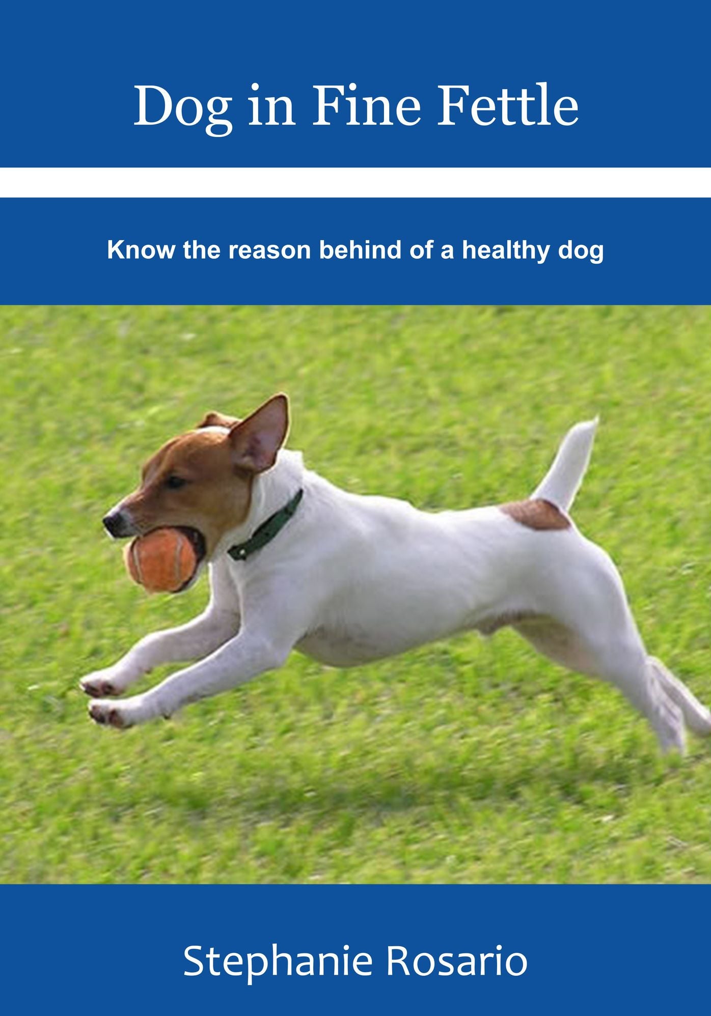 Dog in Fine Fettle