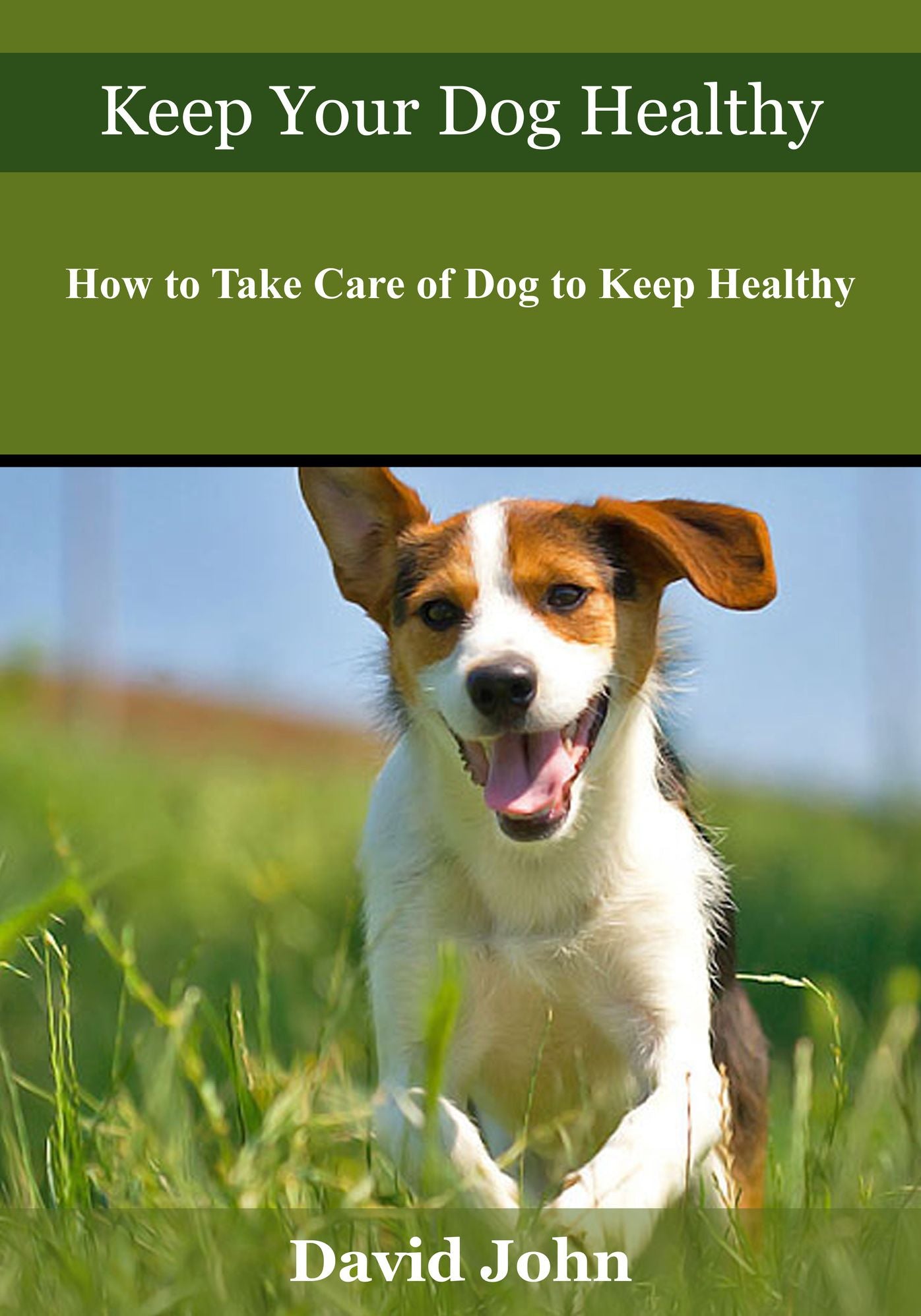 Keep your dog healthy