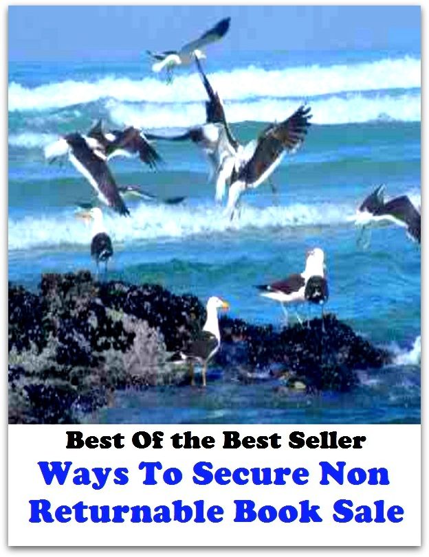 Best of the best sellers Ways To Secure Non Returnable Book Sa ( publisher, author, writer, novelist, biographer, dramatist, creator, instigator, maker, inventor, publish )