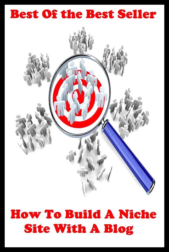 Best of the best sellers How To Build A Niche Site With A Blog ( online marketing, computer, hardware, blog, frequency, laptop, web, net, mobile, broadband, wifi, internet, bluetooth, wireless, e mail, download, up load, personal area network )