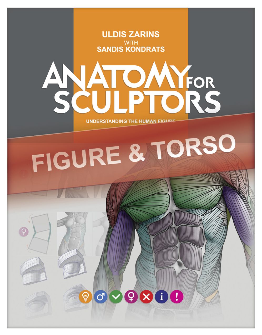 Anatomy For Sculptors, Understanding the Human Figure (FIGURE & TORSO)