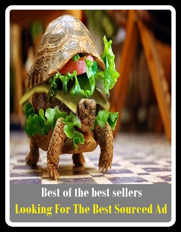 Best of The Best Sellers	Looking For The Best Sourced Ad (first,first-rate,leading,outstanding,perfect,terrific,tough,ac)