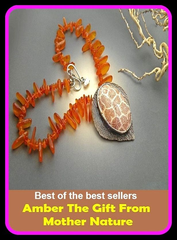 Best of the Best Sellers Amber The Gift From Mother Nature ( talent, flair, aptitude, facility, knack, bent, ability, expertise, capacity, capability, faculty, endowment, strength, genius, brilliance, skill, artistry )