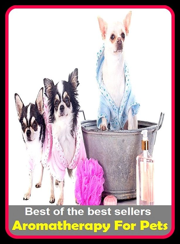 Best of the Best Sellers Aromatherapy For Pets ( annoyance, nagging, molestation, bother, chagrin, provocation, deary, minion, dear, pet, joy, favourite )