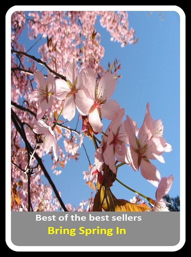 Best of the Best Sellers Bring Spring In (bounce, buck, flexibility, leap, recoil, give, resilience,vault, hop, elasticity, bound)