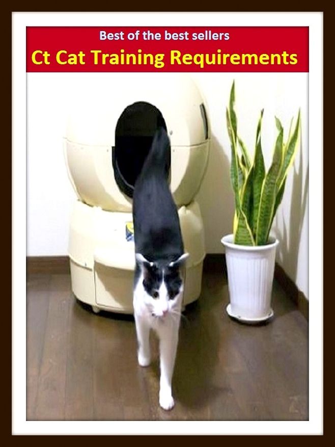 Best of the Best Sellers Ct Cat Training Requirements (repulsive, reputable, repute, reputed, request, requiem, require, required, requital, requit)