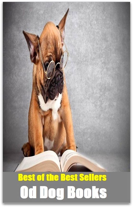 Best of the Best Sellers Od Dog Books ( Book, Holy Writ, write up, Spenserian stanza, write in, airing, write, ante, words, arraign, volume, back matter, verse, balance the books)