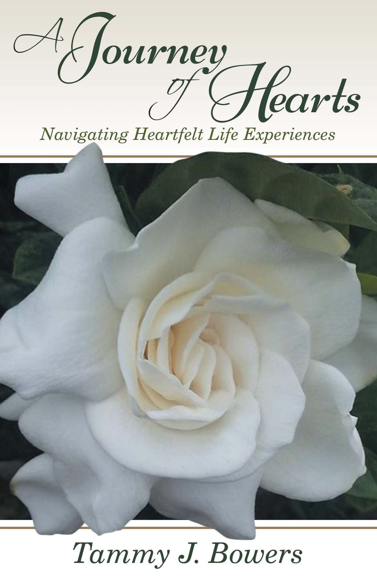 A Journey of Hearts: Navigating Life Experiences