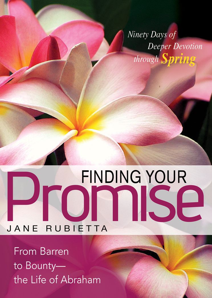Finding Your Promise: From Barren to Bounty - the Life of Abraham