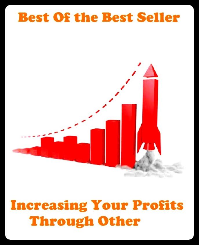 Business & Personal Finances: Best of the best sellers Increasing Your Profits Through Other Pe ( branding, stigmatize, taint, disgrace, mark, assembly, gathering, marshalling, rally, survey, marketing, advertising, promotion, selling )
