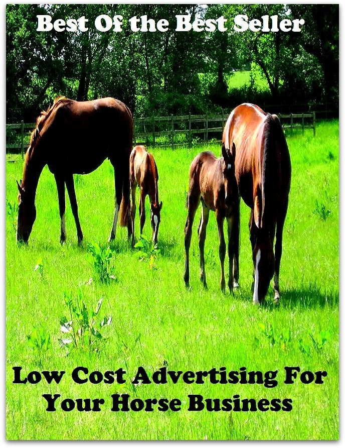Business & Personal Finances: Best of the best sellers Low Cost Advertising For Your Horse Busi ( branding, stigmatize, taint, disgrace, mark, assembly, gathering, marshalling, rally, survey, marketing, advertising, promotion, selling )
