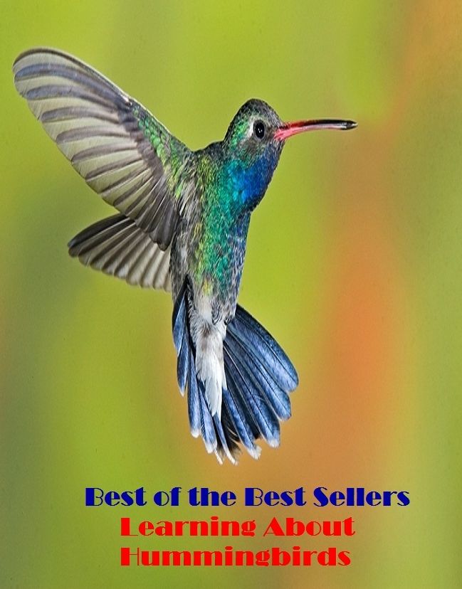 Best of the best seller Learning About Hummingbirds(description,essence,humor,mood,personality,quality,type,attributes,being,complexion)