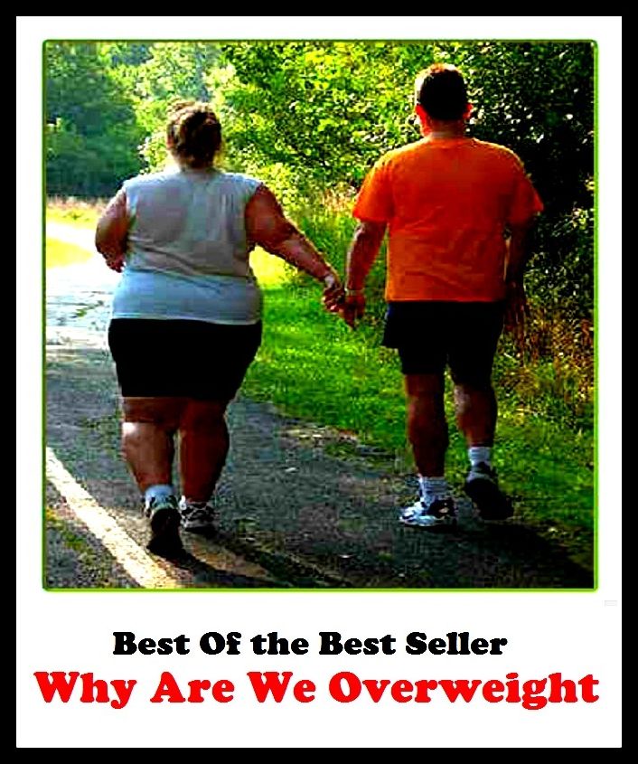 Best of the best sellers Why Are We Overweight ( exercise, meditation, acupuncture, disease, digestive system, formula, medicine, remedy, fix, treatment, action, conduct, behavior, handling, gastrin, fitness, vitamins, healing, diet )
