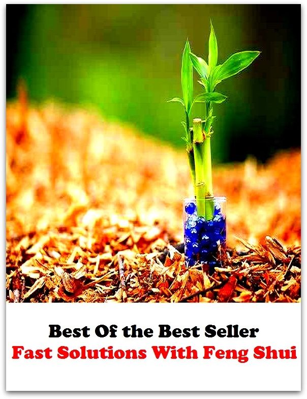 Best of the best sellers Fast Solutions With Feng Shui ( families, household, familial, domestic, relatives, households, dynasty, home, familiar, household-type, family-run, family-related, family-owned, kin, family-based, marital )