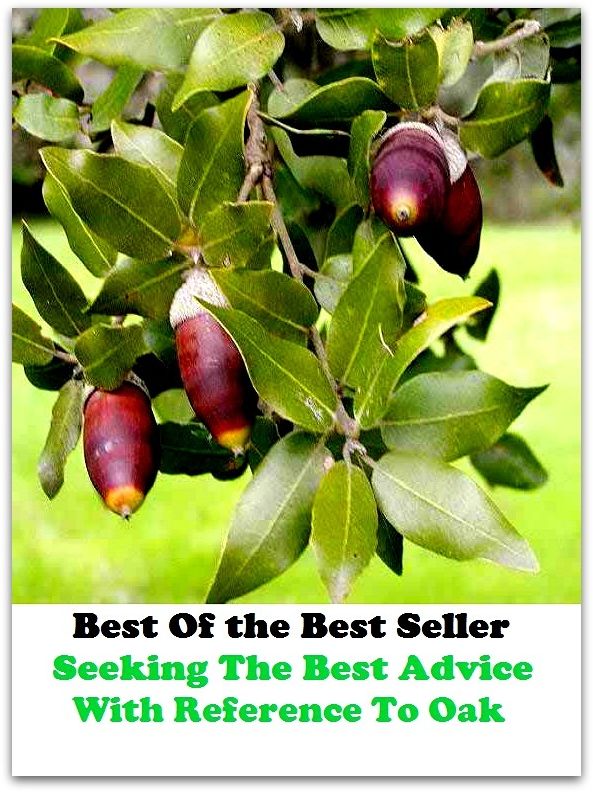 Best of the best sellers Seeking The Best Advice With Reference To Oak F ( families, household, familial, domestic, relatives, households, dynasty, home, familiar, household-type, family-run, family-related, family-owned, kin )