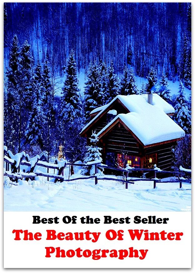 Best of the best sellers The Beauty Of Winter Photography ( lulu, sweetheart, stunner, peach, ravisher, beauty, fantasy, romantic, romance, looker, knockout, dish, mantrap, smasher )