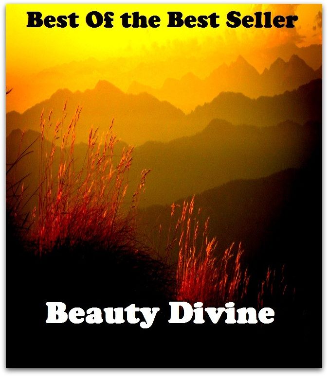 Best of the best sellers Beauty Divine ( essay, paper, thesis, dissertation, composition, article, treatise, theory, idea, hypothesis )