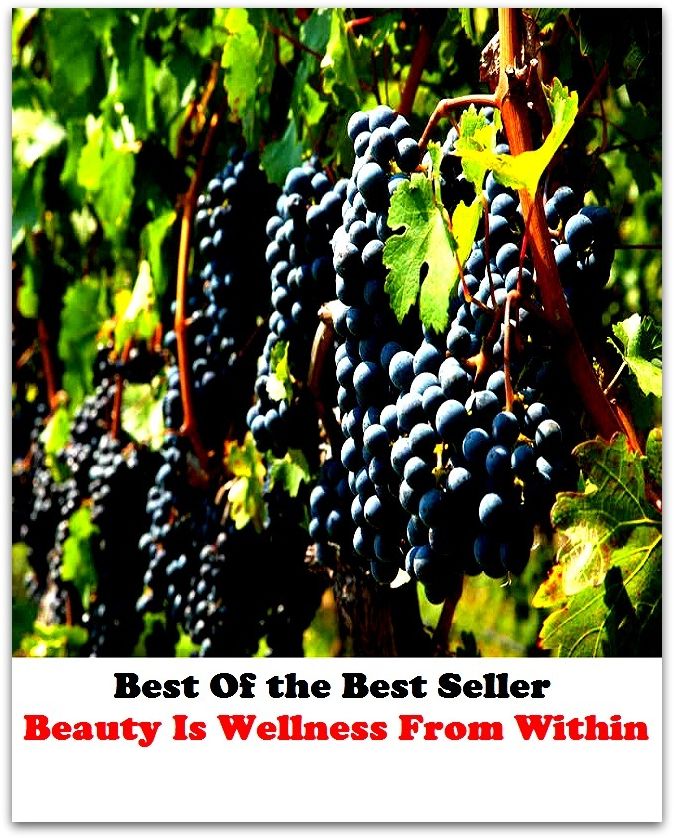 Best of the best sellers Beauty Is Wellness From Within ( essay, paper, thesis, dissertation, composition, article, treatise, theory, idea, hypothesis )