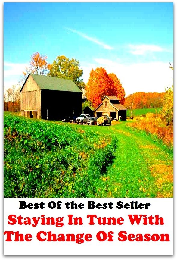 Best of the best sellers Staying In Tune With The Change Of Season ( families, household, familial, domestic, relatives, households, dynasty, home, familiar, household-type, family-run, family-related, family-owned, kin, family-based )