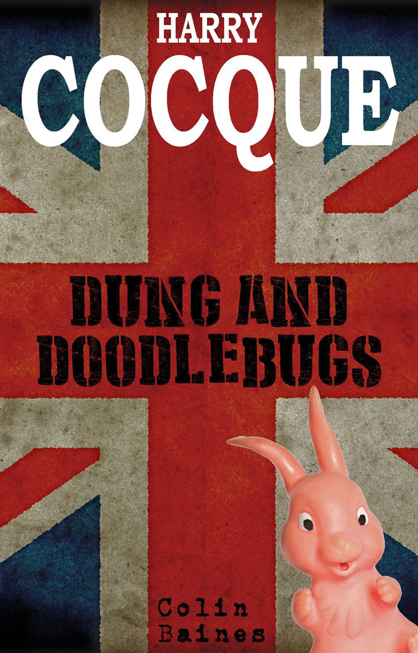 Harry Cocque: Dung and Doodlebugs