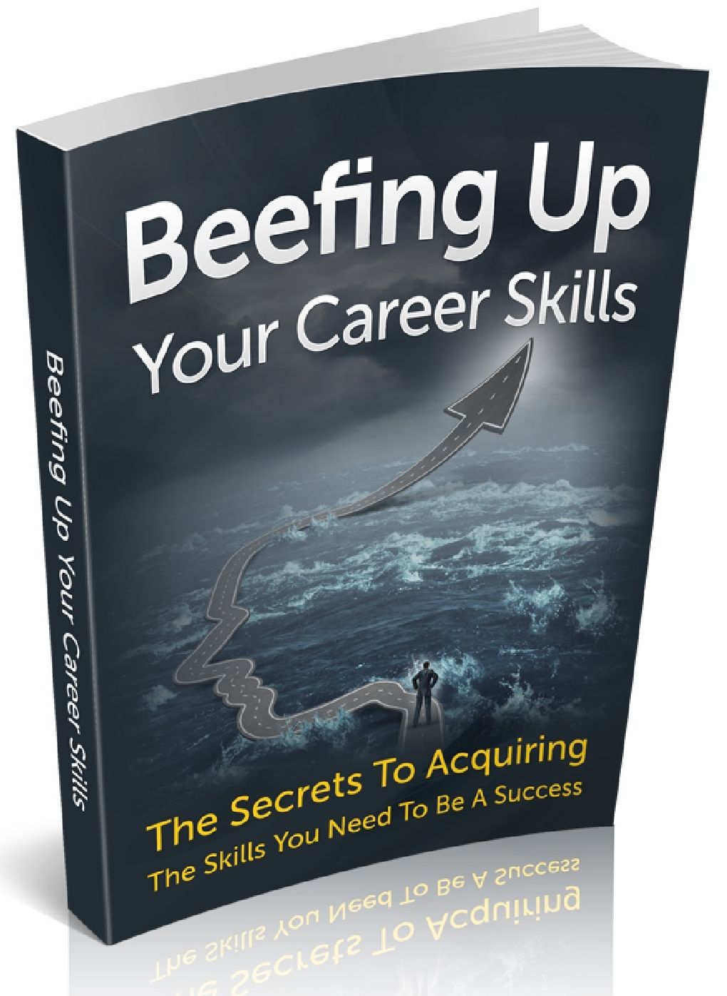 Beefing Up Your Career Skill - The Secrets To Acquiring The Skill You Need To Be Success