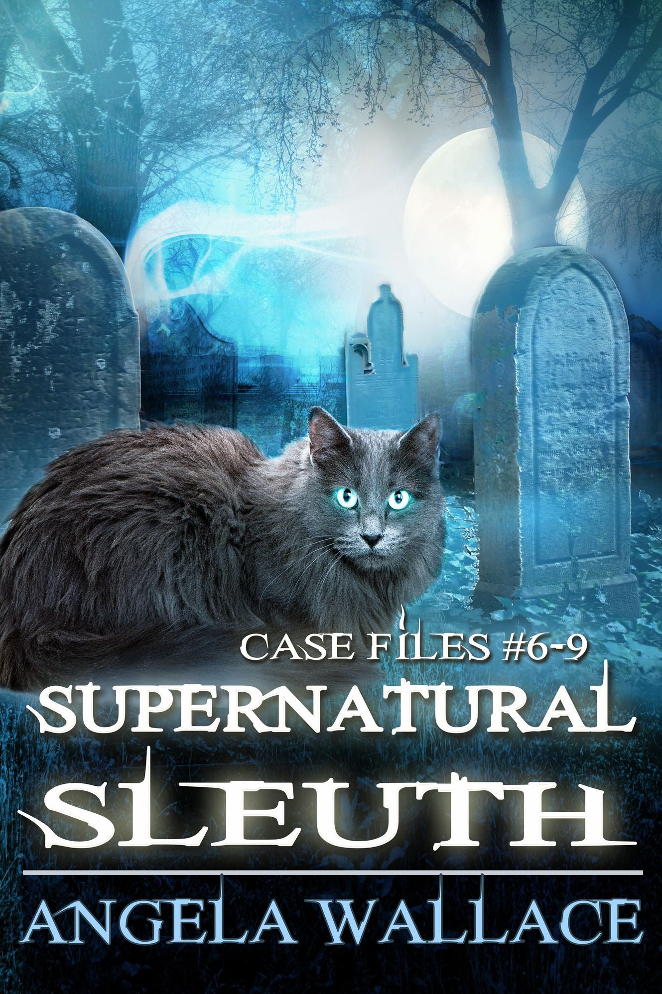 Supernatural Sleuth, Case Files #6-9