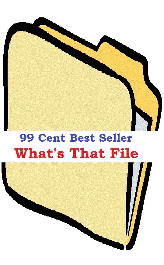 99 Cent Best Seller What S That File ( CPU unit, keyboard, mouse, speaker set, purses, jewellery, shoes, accessories, cheap laptop, the tablets, chargers, Windows programs )