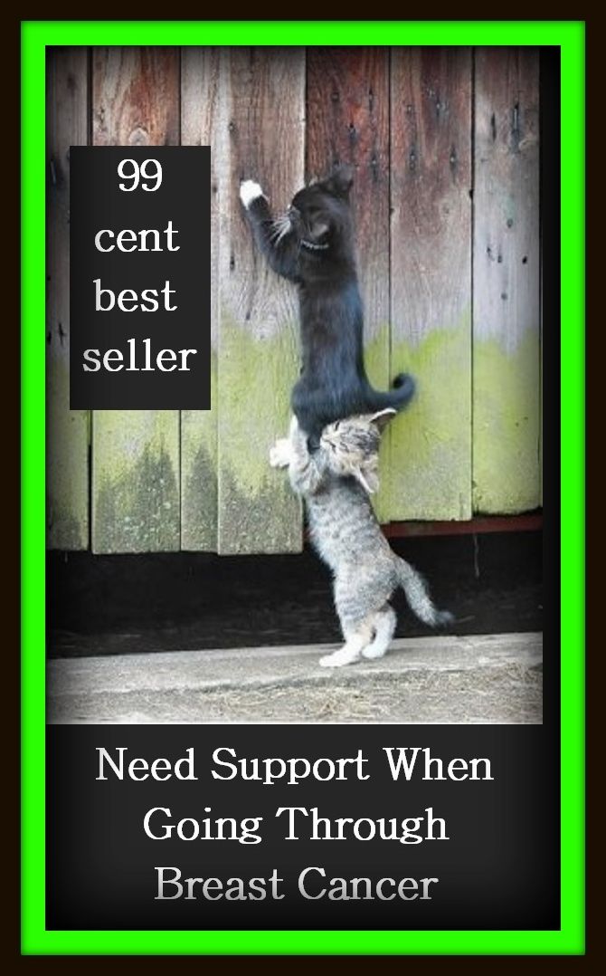 99 Cent Best Seller Need Support When Going Through Breast C ( exercise, meditation, acupuncture, disease, digestive system, formula, medicine, remedy, fix, treatment, action, conduct, behavior, handling, gastrin, fitness, vitamins, healing, diet )