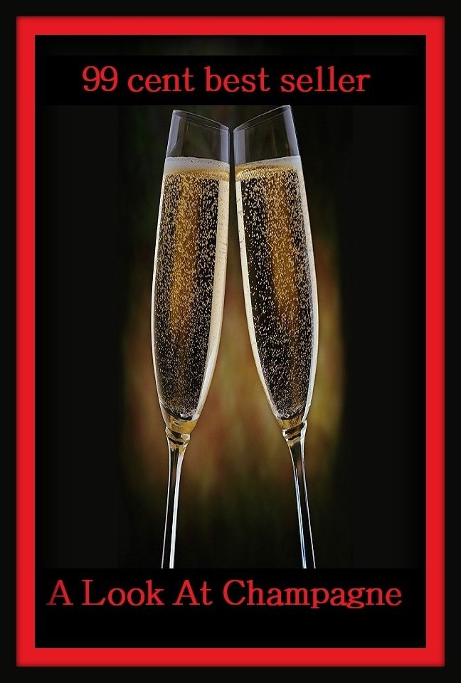 99 Cent Best Seller	A Look At Champagne, (attention, eye, glance, glimpse, peek, review, stare, view, beholding)