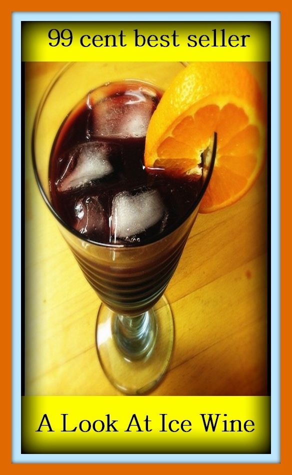99 Cent Best Seller	A Look At Ice Wine, (attention, eye, glance, glimpse, peek, review, stare, view, beholding)